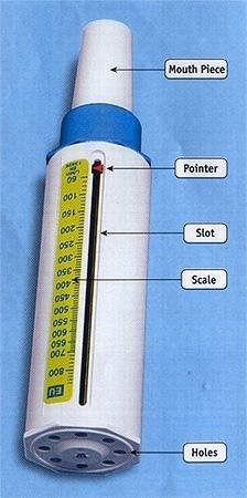 Peak flow meter mini bell