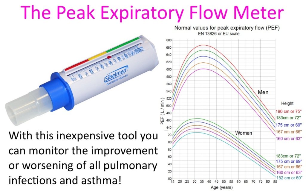 Peak flow meter mini bell