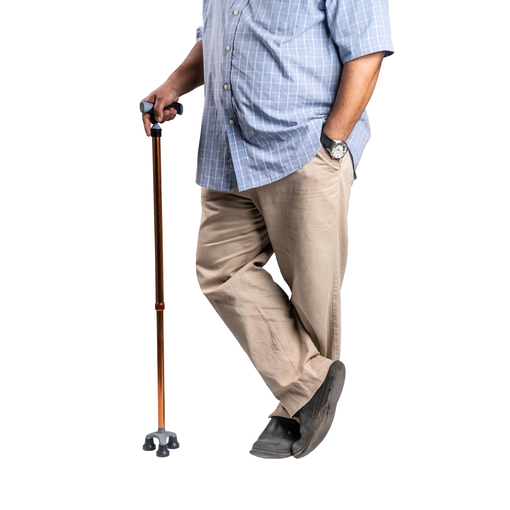 ARREX MS340 WALKING STICKS