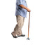 ARREX MS340 WALKING STICKS