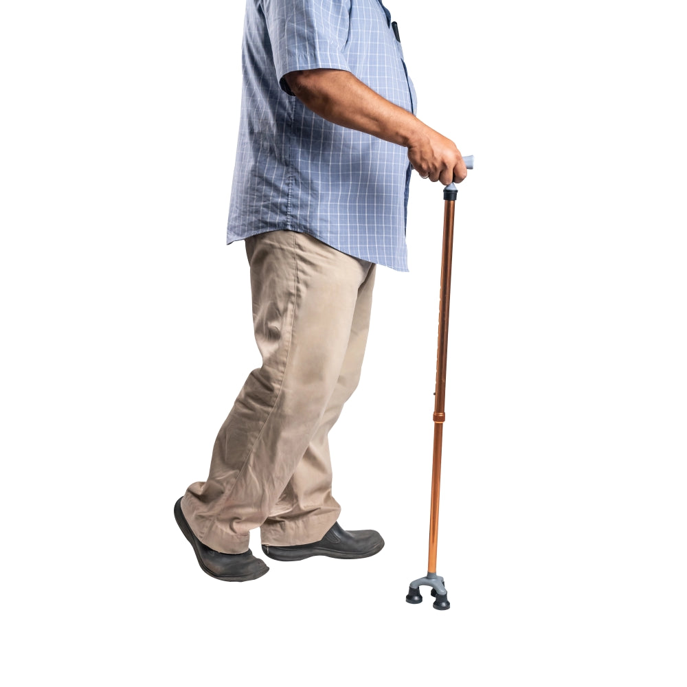 ARREX MS340 WALKING STICKS