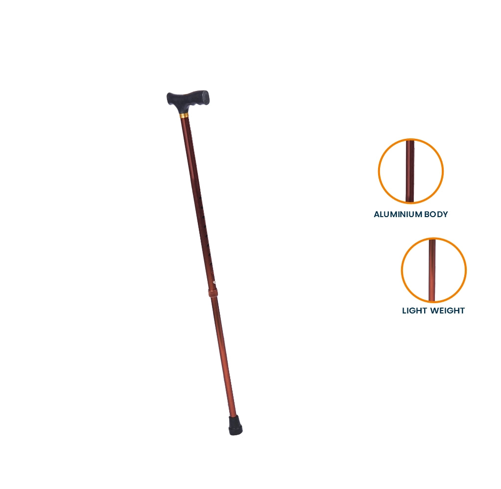 ARREX MS50 WALKING STICK